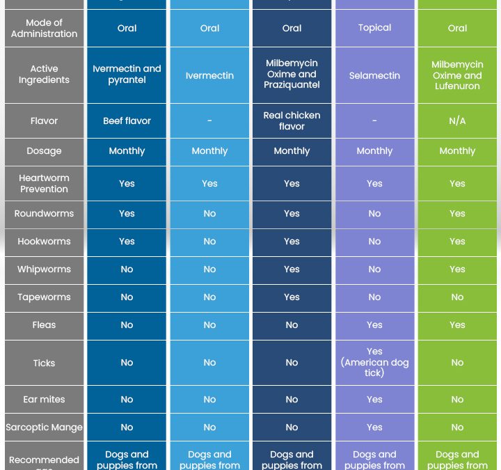 Heartworm Prevention in Dogs: Importance and Top Treatment Options