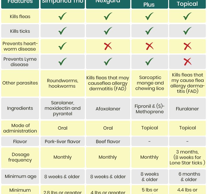 Affordable Flea and Tick Preventive Treatments for Dogs Under $50