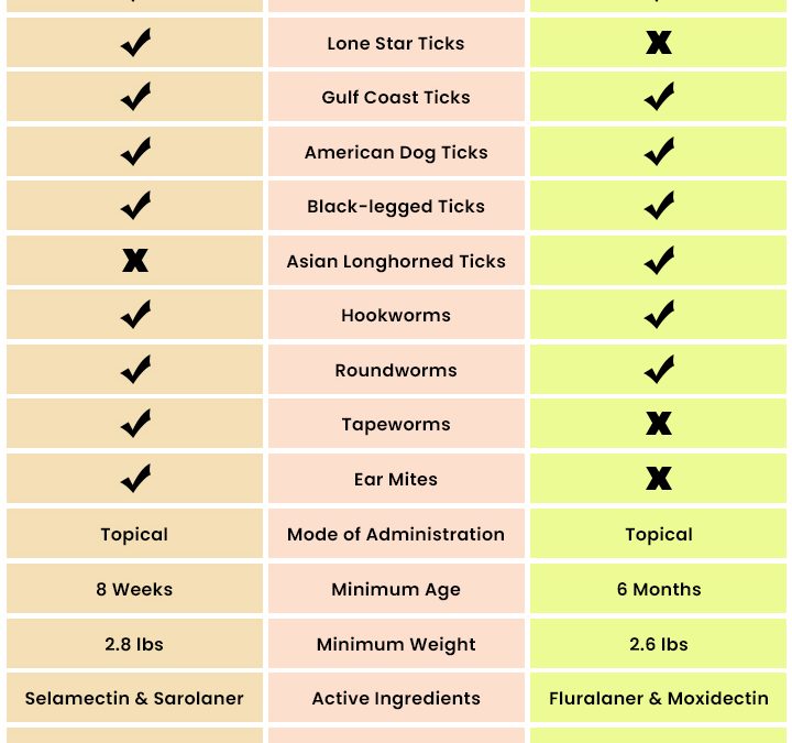 Revolution Plus vs. Bravecto Plus – A Detailed Analysis